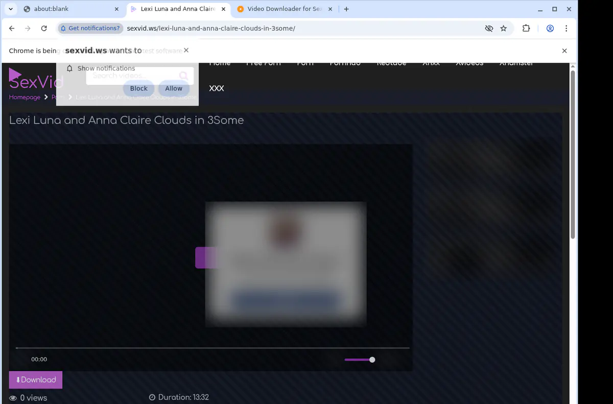 Sexvid Video Downloader browser extension screenshot 2