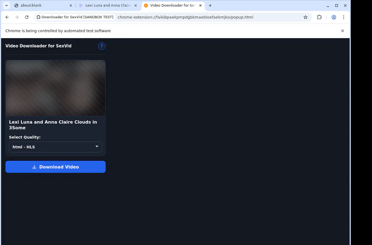 Sexvid Video Downloader browser extension screenshot 4