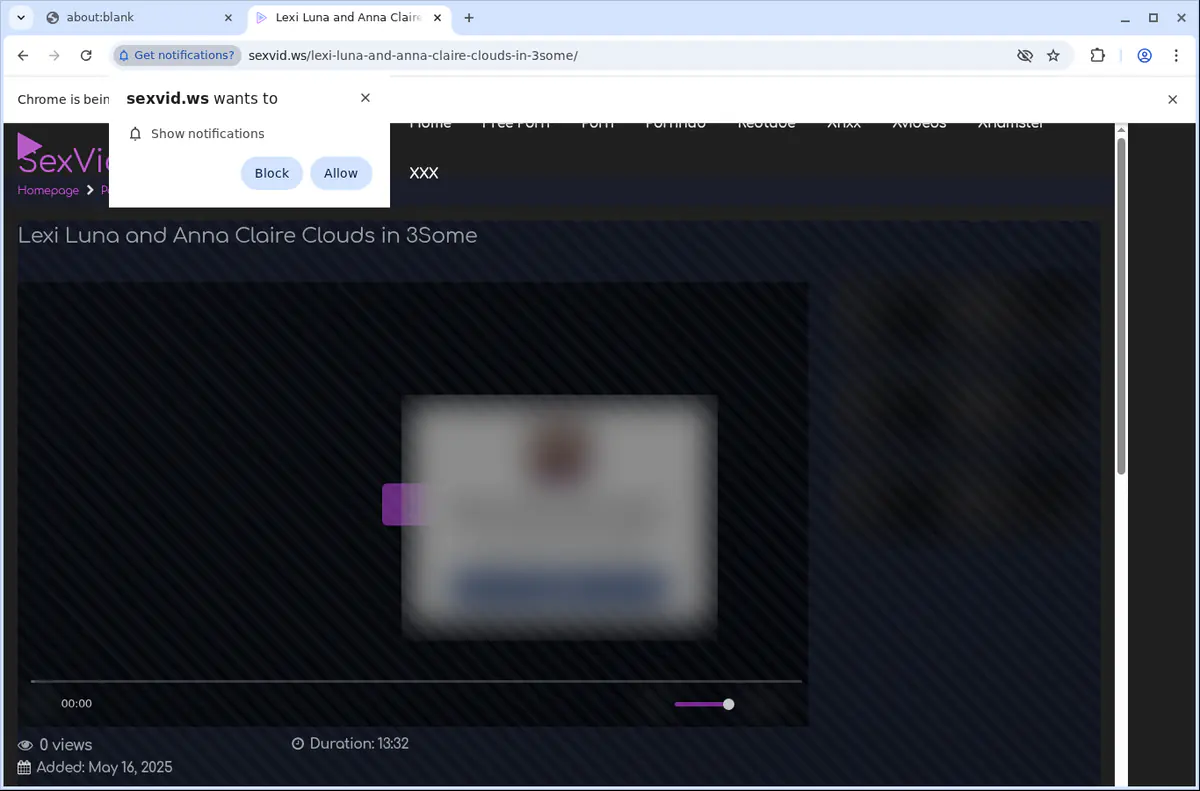 Sexvid Video Downloader browser extension screenshot 5